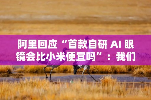 阿里回应“首款自研 AI 眼镜会比小米便宜吗”：我们是有区别的，小米不带显示