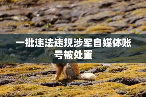 一批违法违规涉军自媒体账号被处置