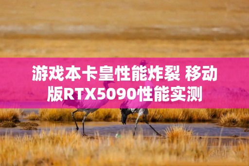 游戏本卡皇性能炸裂 移动版RTX5090性能实测