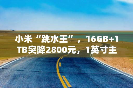 小米“跳水王”，16GB+1TB突降2800元，1英寸主摄+卫星通信+2K屏