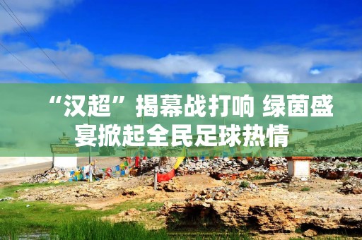 “汉超”揭幕战打响 绿茵盛宴掀起全民足球热情