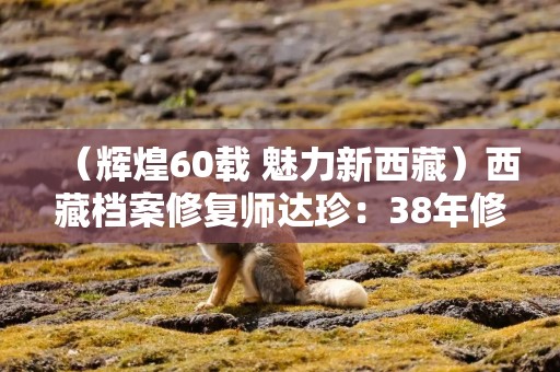 （辉煌60载 魅力新西藏）西藏档案修复师达珍：38年修复上万件历史档案
