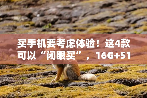 买手机要考虑体验！这4款可以“闭眼买”，16G+512G同样备受青睐