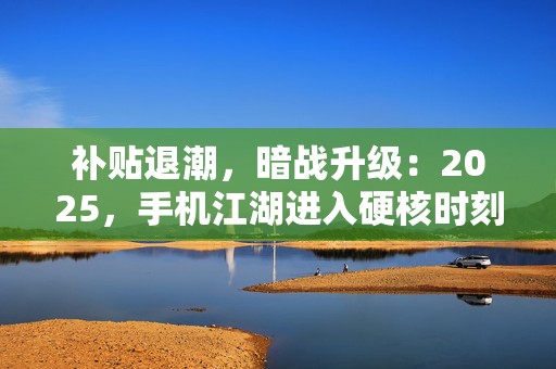 补贴退潮，暗战升级：2025，手机江湖进入硬核时刻