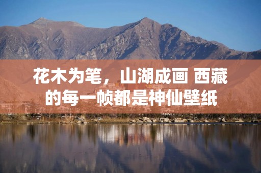 花木为笔，山湖成画 西藏的每一帧都是神仙壁纸