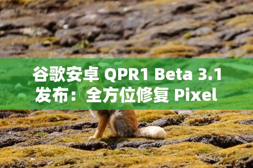 谷歌安卓 QPR1 Beta 3.1 发布：全方位修复 Pixel 手机重启等问题