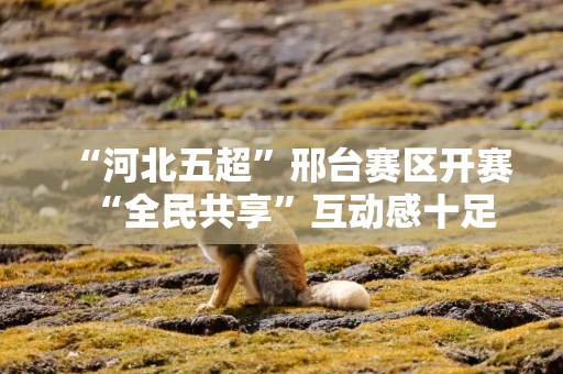“河北五超”邢台赛区开赛  “全民共享”互动感十足