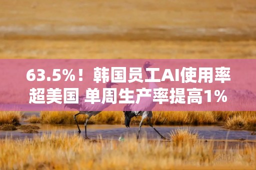 63.5%！韩国员工AI使用率超美国 单周生产率提高1%