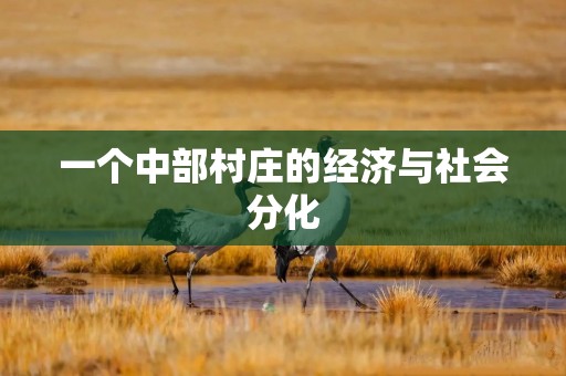 一个中部村庄的经济与社会分化