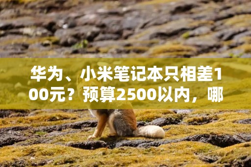华为、小米笔记本只相差100元？预算2500以内，哪款笔记本更好