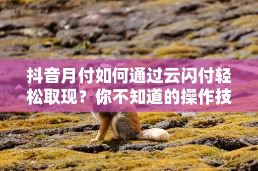 抖音月付如何通过云闪付轻松取现？你不知道的操作技巧！