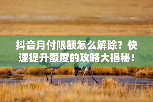 抖音月付限额怎么解除？快速提升额度的攻略大揭秘！
