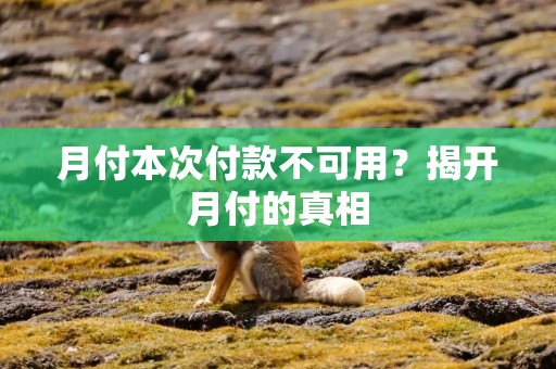 月付本次付款不可用？揭开月付的真相