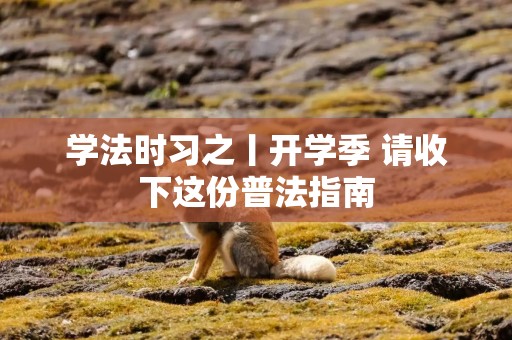 学法时习之丨开学季 请收下这份普法指南