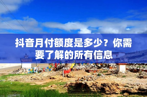 抖音月付额度是多少？你需要了解的所有信息