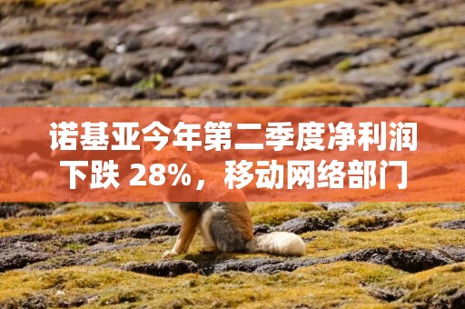 诺基亚今年第二季度净利润下跌 28%，移动网络部门亏损 7500 万欧元
