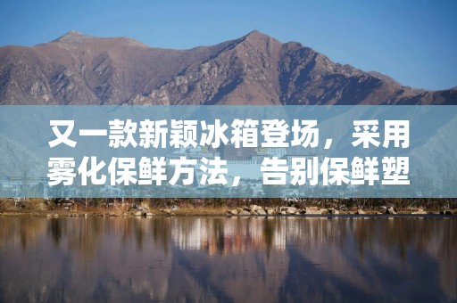 又一款新颖冰箱登场，采用雾化保鲜方法，告别保鲜塑料袋