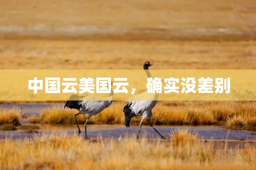 中国云美国云，确实没差别