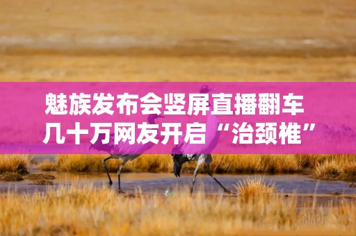 魅族发布会竖屏直播翻车 几十万网友开启“治颈椎”模式？