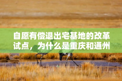 自愿有偿退出宅基地的改革试点，为什么是重庆和通州？