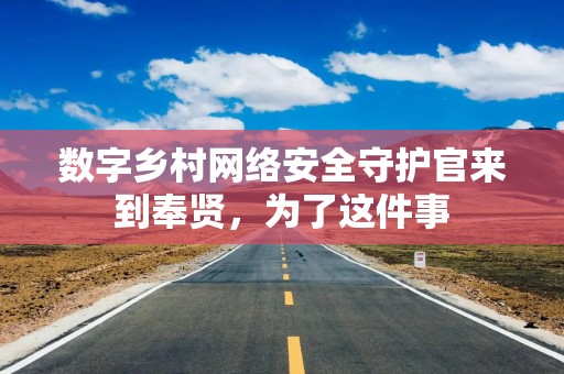 数字乡村网络安全守护官来到奉贤，为了这件事