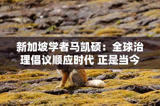 新加坡学者马凯硕：全球治理倡议顺应时代 正是当今世界所需