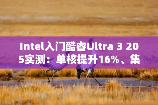 Intel入门酷睿Ultra 3 205实测：单核提升16%、集显暴增75%！