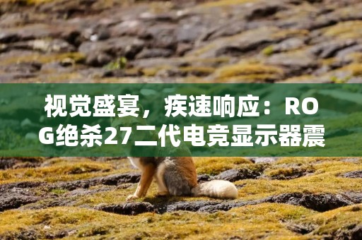 视觉盛宴，疾速响应：ROG绝杀27二代电竞显示器震撼上市