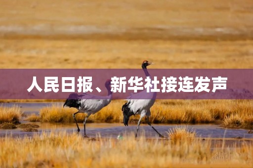 人民日报、新华社接连发声