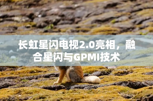 长虹星闪电视2.0亮相，融合星闪与GPMI技术
