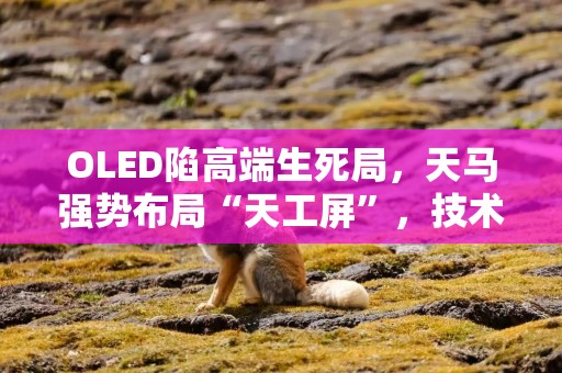 OLED陷高端生死局，天马强势布局“天工屏”，技术品牌成胜负手？