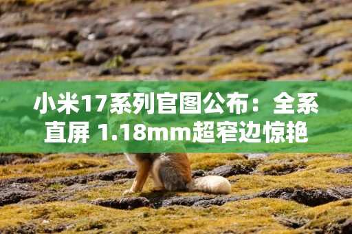 小米17系列官图公布：全系直屏 1.18mm超窄边惊艳