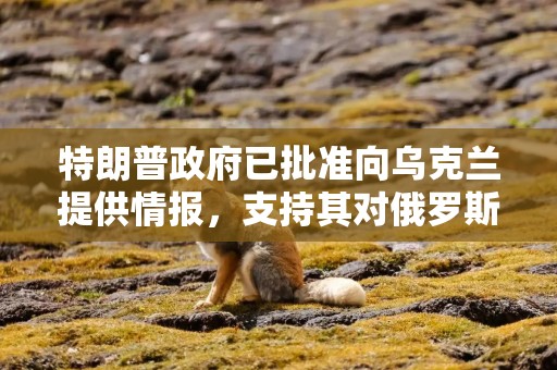 特朗普政府已批准向乌克兰提供情报，支持其对俄罗斯能源基础设施的远程导弹打击