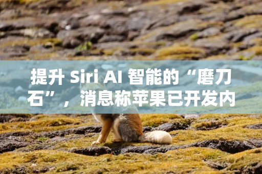 提升 Siri AI 智能的“磨刀石”，消息称苹果已开发内部版类 ChatGPT 应用
