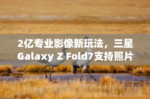 2亿专业影像新玩法，三星Galaxy Z Fold7支持照片水印