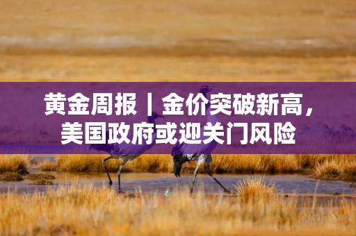 黄金周报｜金价突破新高，美国政府或迎关门风险