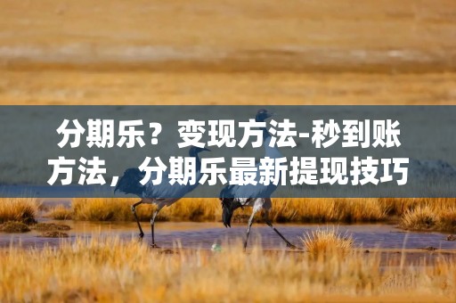 分期乐？变现方法-秒到账方法，分期乐最新提现技巧