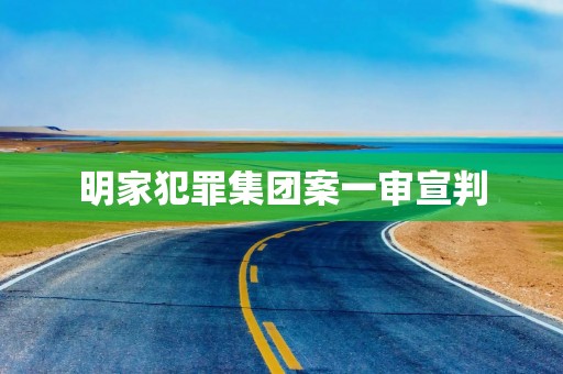 明家犯罪集团案一审宣判