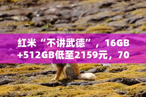 红米“不讲武德”，16GB+512GB低至2159元，7000mAh+卫星通信+30倍变焦