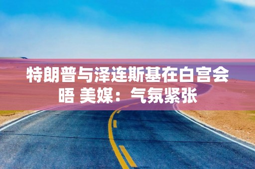 特朗普与泽连斯基在白宫会晤 美媒：气氛紧张