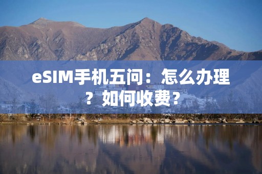 eSIM手机五问：怎么办理？如何收费？