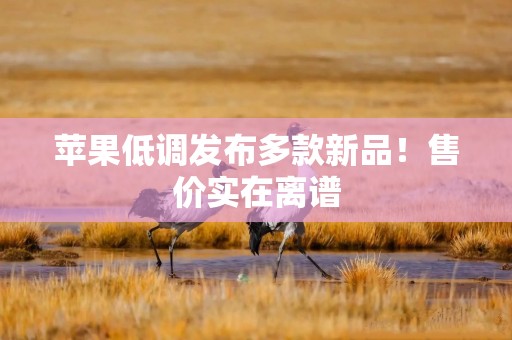 苹果低调发布多款新品！售价实在离谱