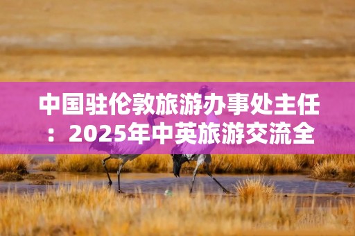 详细阅读:中国驻伦敦旅游办事处主任:2025年中英旅游交流全面回暖 中国驻伦敦旅游办事处主任:2025年中英旅游交流全面回暖