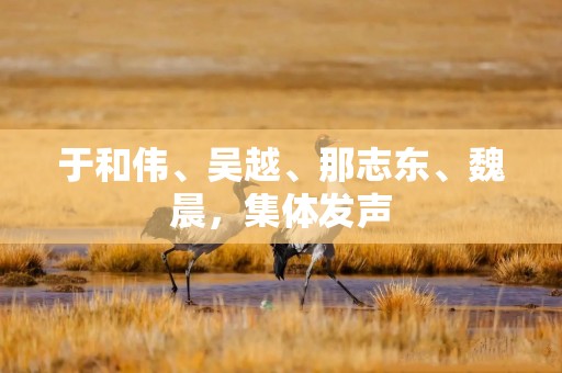 详细阅读:于和伟、吴越、那志东、魏晨,集体发声 于和伟、吴越、那志东、魏晨,集体发声