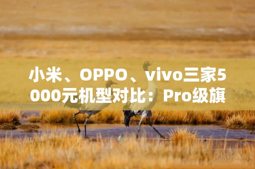 详细阅读:小米、OPPO、vivo三家5000元机型对比:Pro级旗舰谁更强? 小米、OPPO、vivo三家5000元机型对比:Pro级旗舰谁更强?