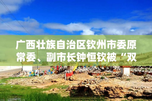 详细阅读:广西壮族自治区钦州市委原常委、副市长钟恒钦被“双开” 广西壮族自治区钦州市委原常委、副市长钟恒钦被“双开”