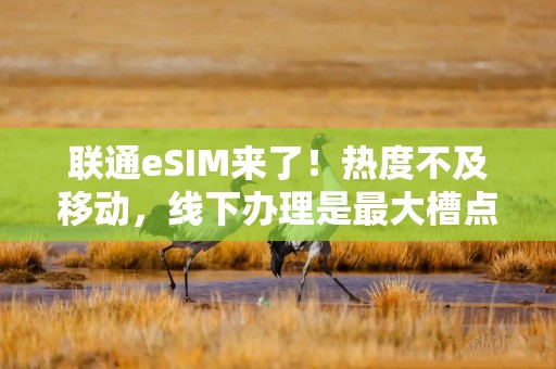 联通eSIM来了！热度不及移动，线下办理是最大槽点
