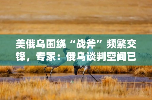美俄乌围绕“战斧”频繁交锋，专家：俄乌谈判空间已被大幅压缩