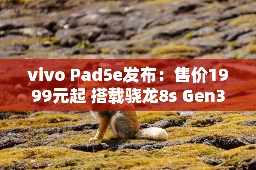 vivo Pad5e发布：售价1999元起 搭载骁龙8s Gen3