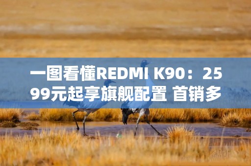 详细阅读:一图看懂REDMI K90:2599元起享旗舰配置 首销多重权益加码 一图看懂REDMI K90:2599元起享旗舰配置 首销多重权益加码